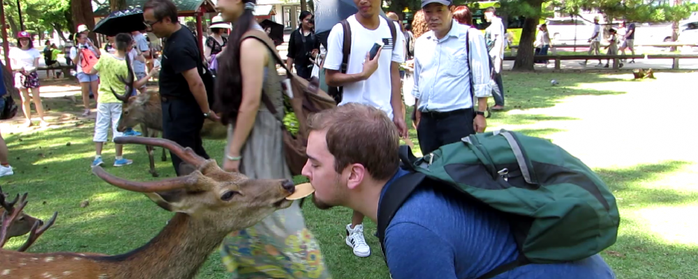 Toba and Nara! That dude knows what's up.